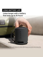 SONY SRS-XB100 Portable Wireless Bluetooth Speaker