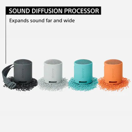 SONY SRS-XB100 Portable Wireless Bluetooth Speaker